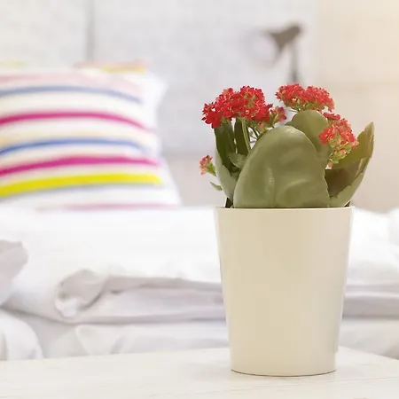 招待所 拉尔戈旅馆 Český Krumlov